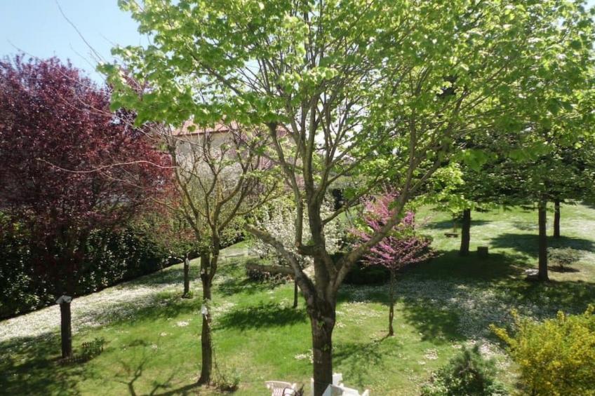 Wohnung mit Privatparkplatz - foto 5