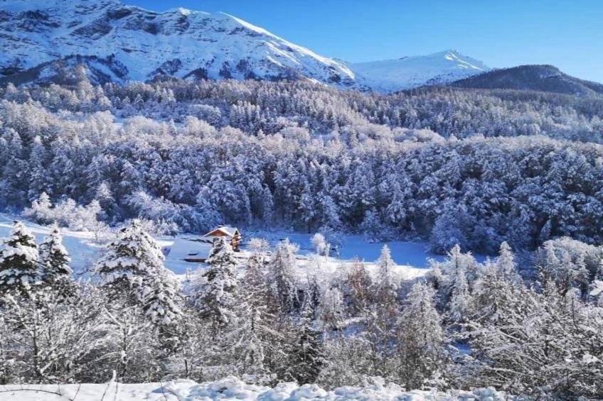 T. Bergerie A N°103 - 3P6C - foto 24