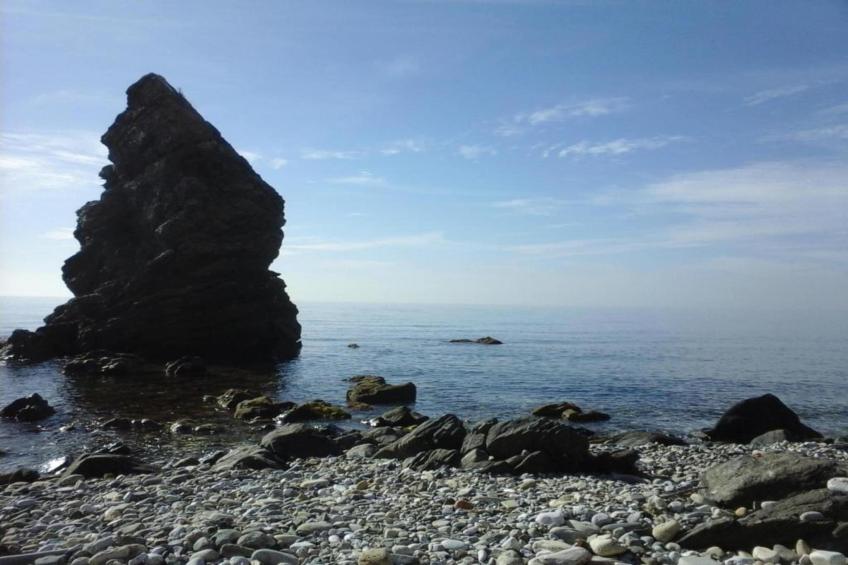 Villa Javier - foto 36