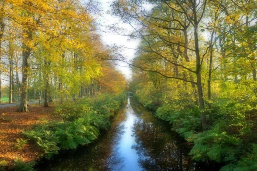 Docklodge 46 - foto 19