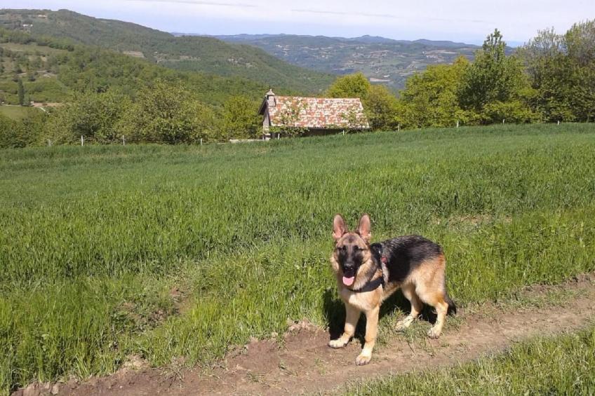 Piccola casa romantica - foto 5