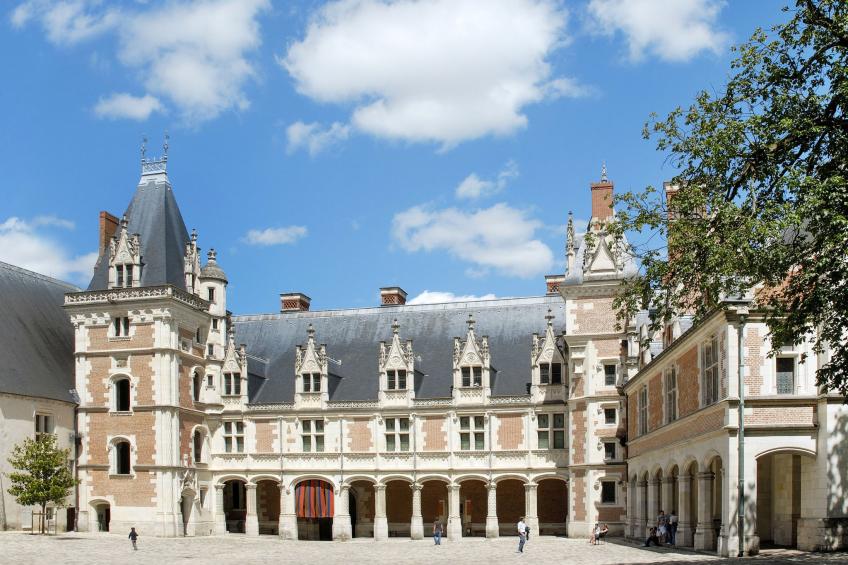 in Chouzy-Sur-Cisse mit Grill, Terrasse und Garten - foto 42