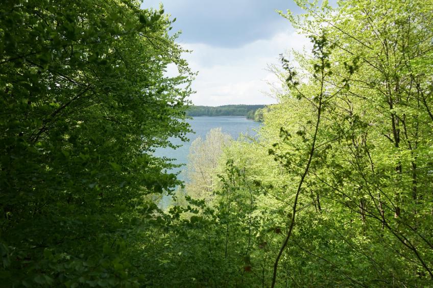 Marina 1 Bedroom Apartment 3 guest - foto 26