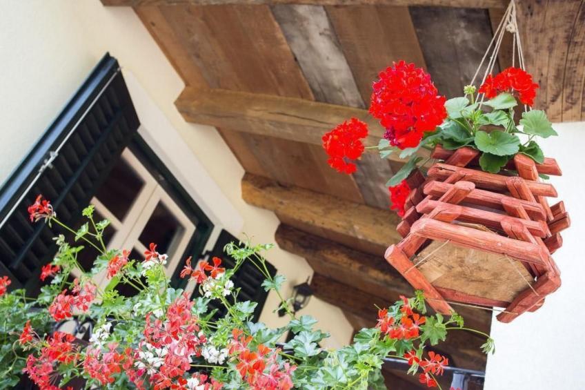 Haus mit modernem Interieur und einer alten Taverne - foto 10