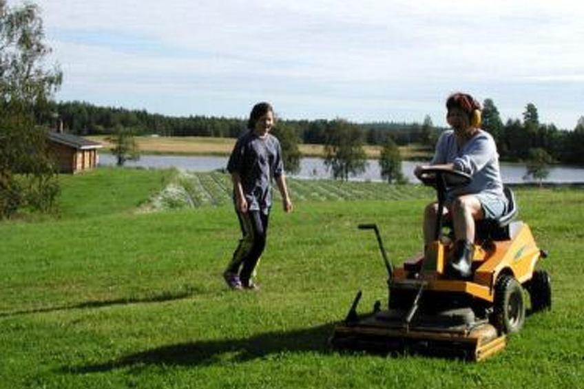 Koivuniemi - foto 10