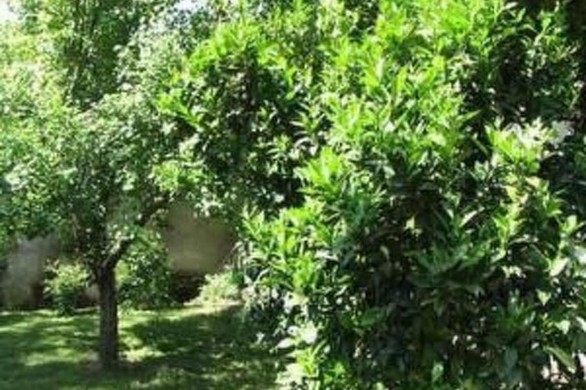 Villa Mais - foto 21