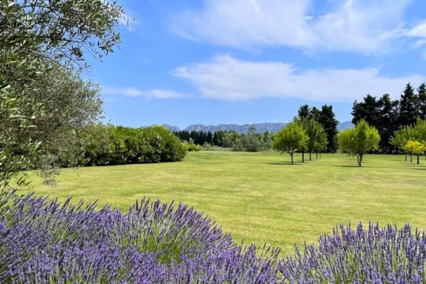 Mas De Panière - Saint Remy De Provence - foto 11