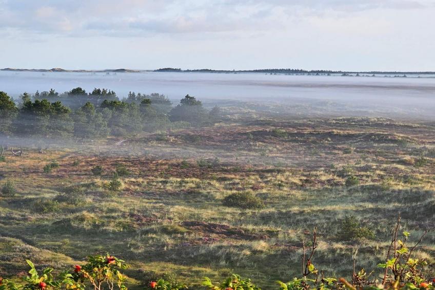 MOTEL UDSIGTEN - foto 10