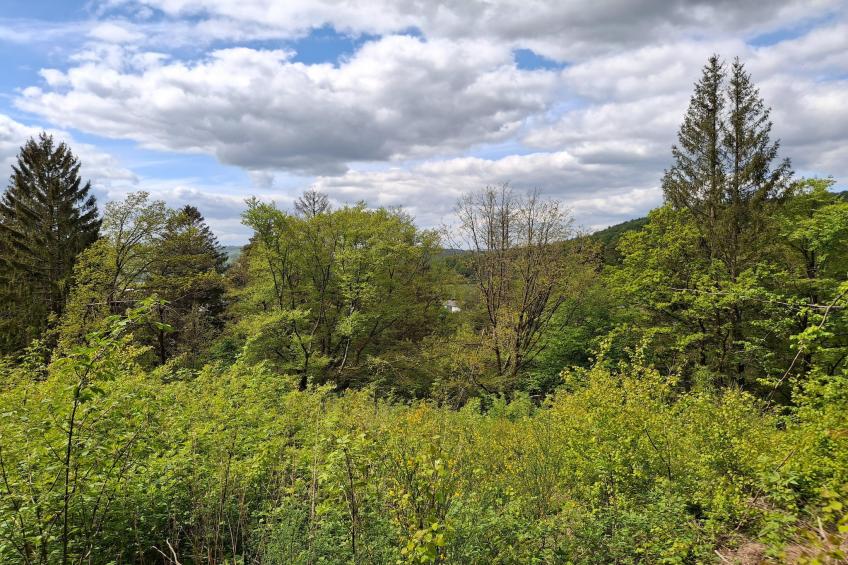 Holiday home Sackpfeifenblick, Hatzfeld - foto 48