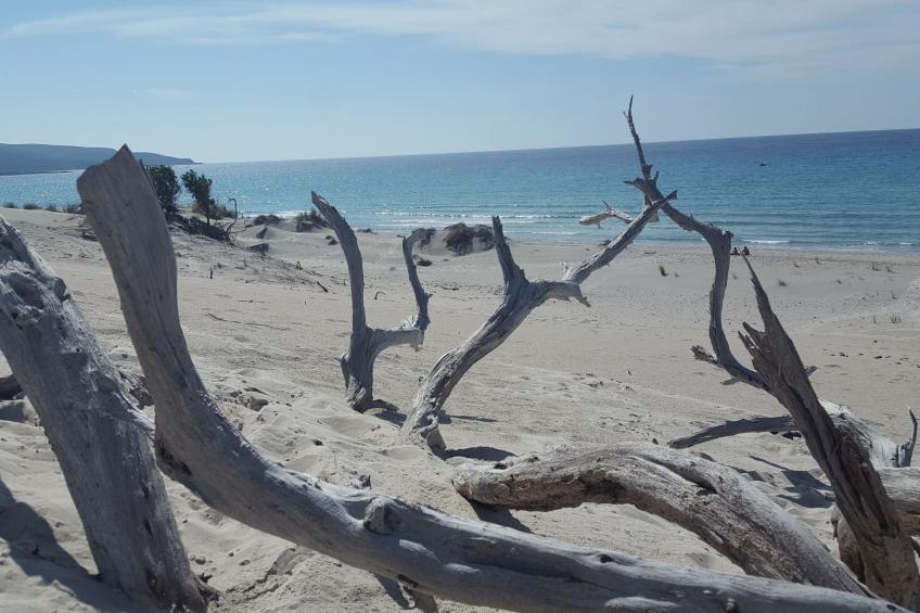 'La casa delle saline - foto 16