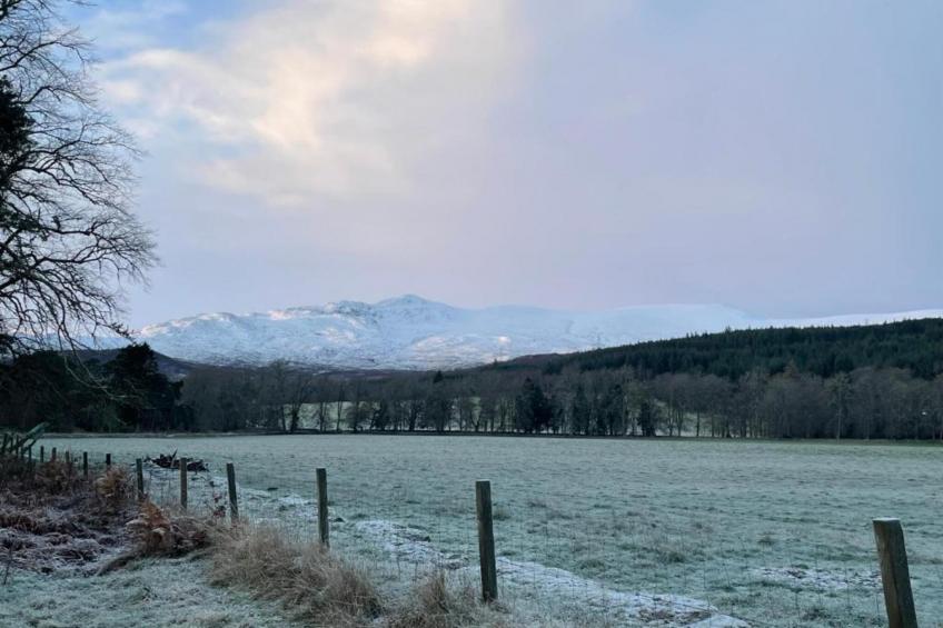 The Bakers Hut - foto 19