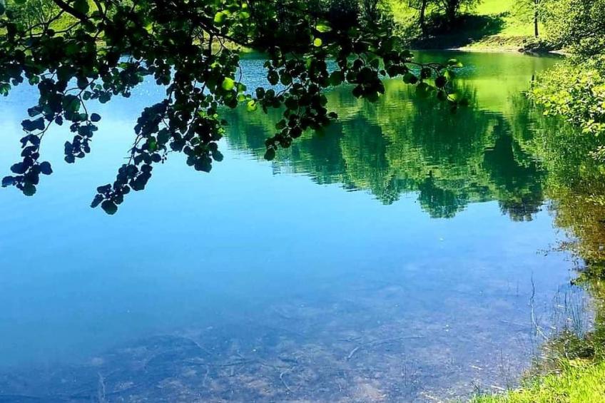 Landhaus Erika - foto 25