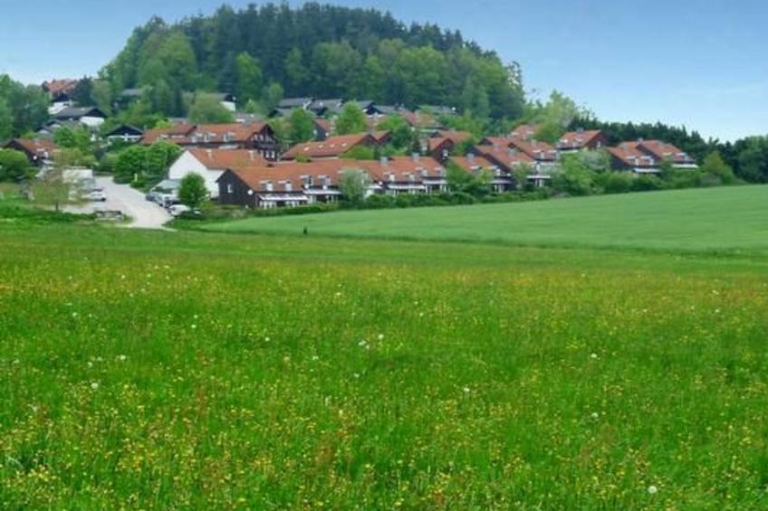 Appartement in Zandt mit Grill - foto 22