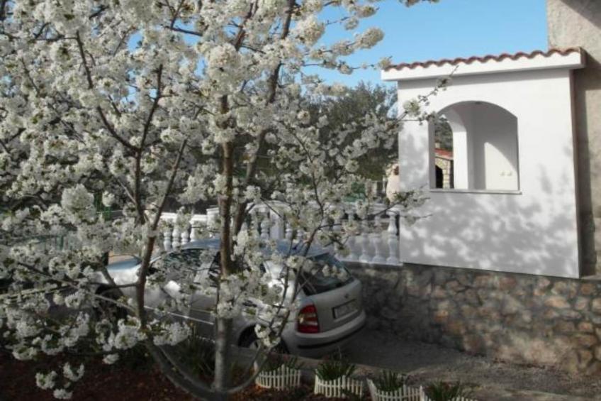 Apartment Antonio - One Bedroom apartment with Terrace - foto 19