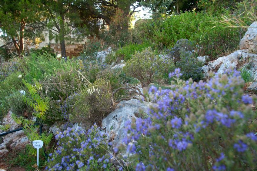 Der Garten von Zephyrus - Osten - foto 45