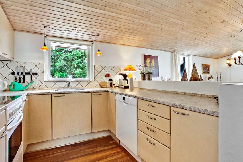 "Andersen" - 600m from the sea in NW Jutland - foto 5