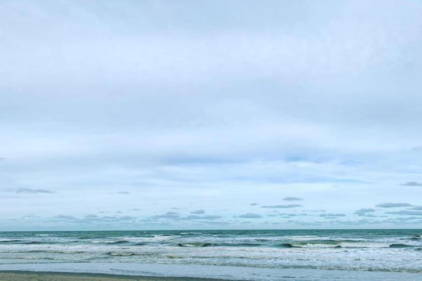 VIVIANE 0501 - foto 20