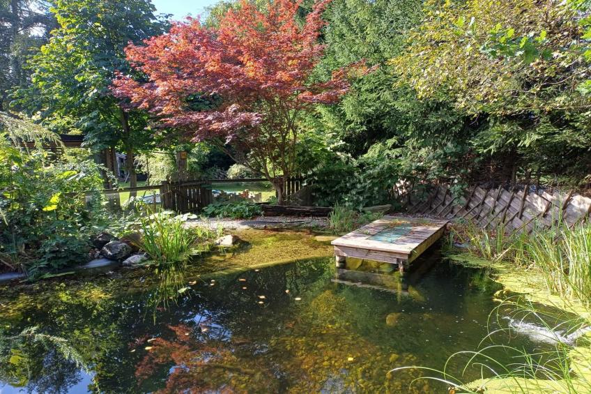 Ferienhaus - foto 36