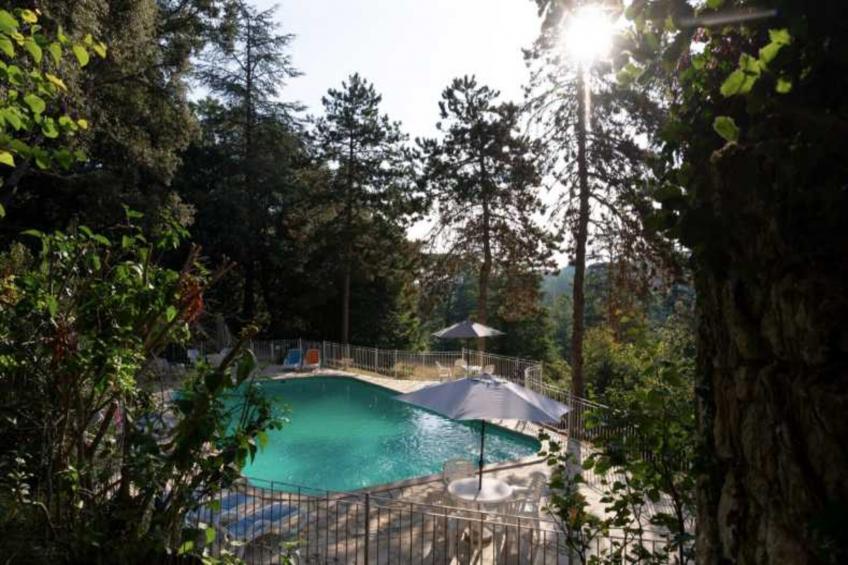 MONBRISON-Q - foto 11