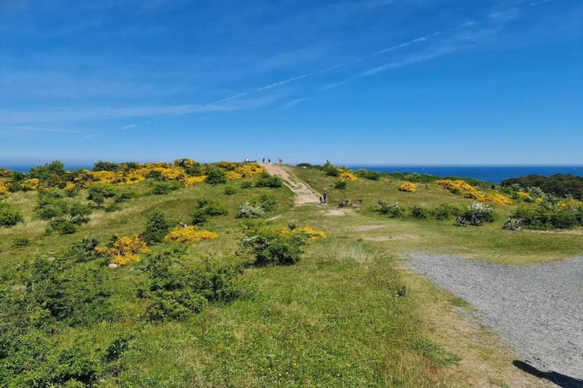 Appartementen Post Hiddensee, Vitte - Type A - foto 38