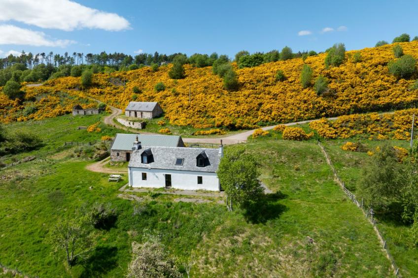 Wester Bunloit - foto 27