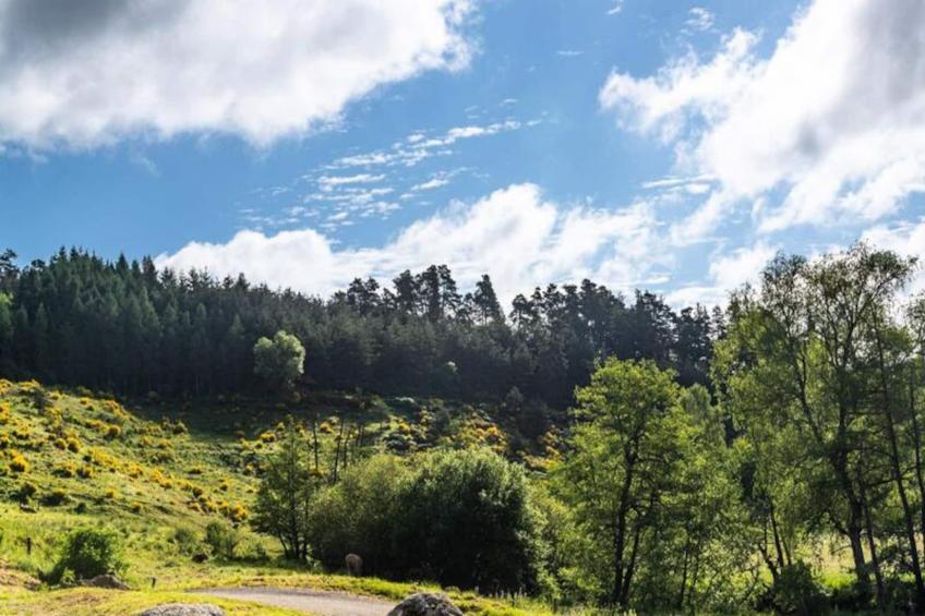 Gîte de France Gîte de la grange - domaine de coulagnettes 3 épis - foto 34