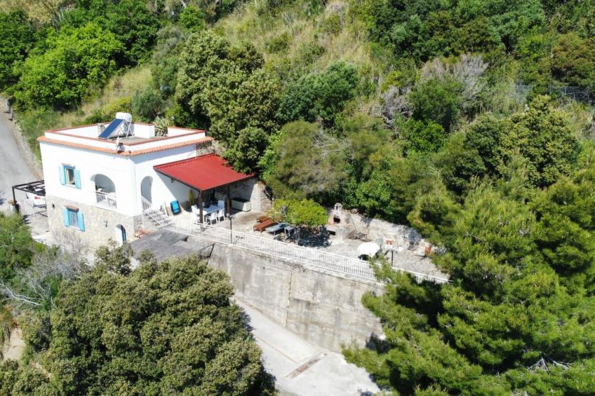 HAUS ELENA - foto 49