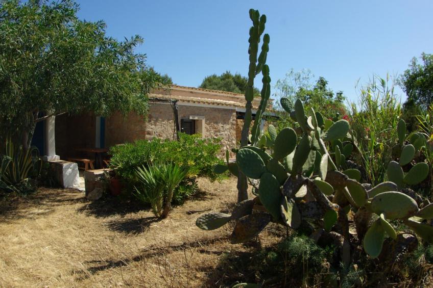 San Ferran - foto 13