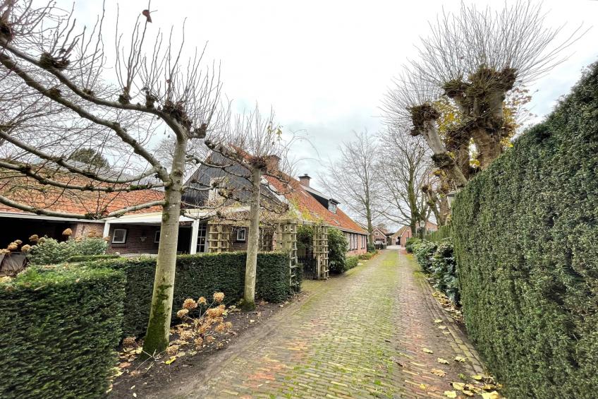 de Binnenhof - foto 14