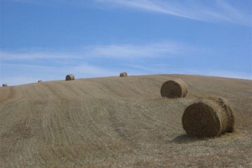 Natur, ökologische Nachhaltigkeit, nur für Erwachsene, Meer in der Nähe - foto 40