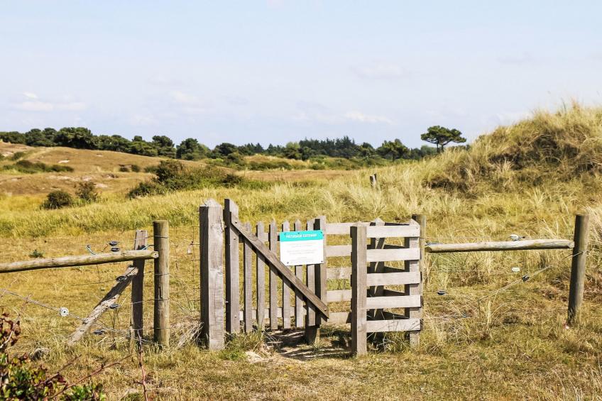 l'Escale dunes, Strände 20 Meter entfernt, Meerblick - foto 54