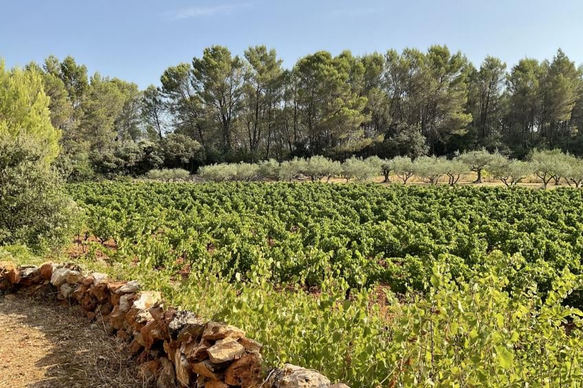 LA CADENIERE - foto 25