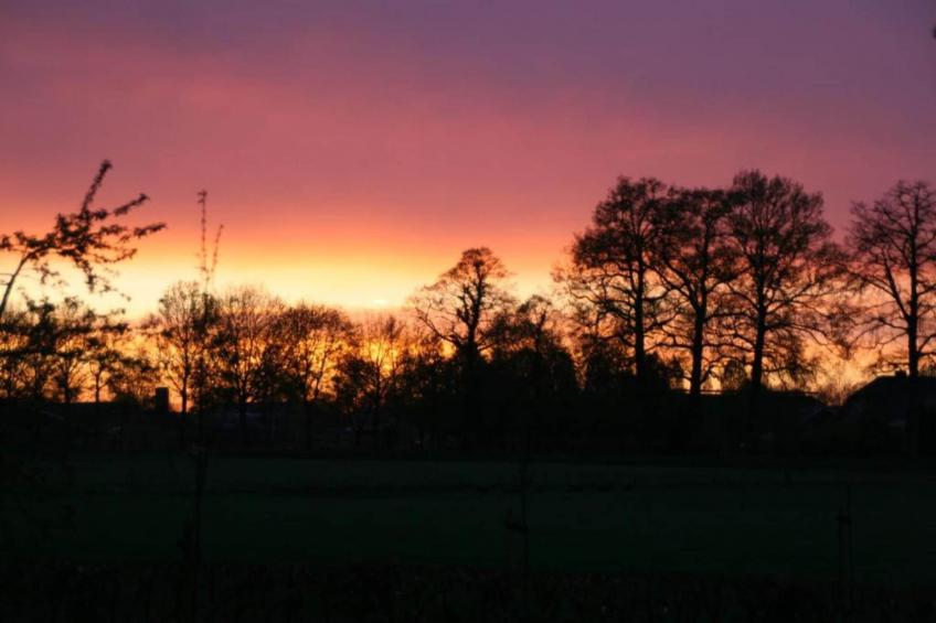 Het Kruisselt - foto 27