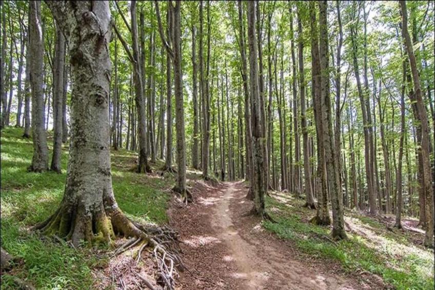 Le Paradis et Espace - foto 29