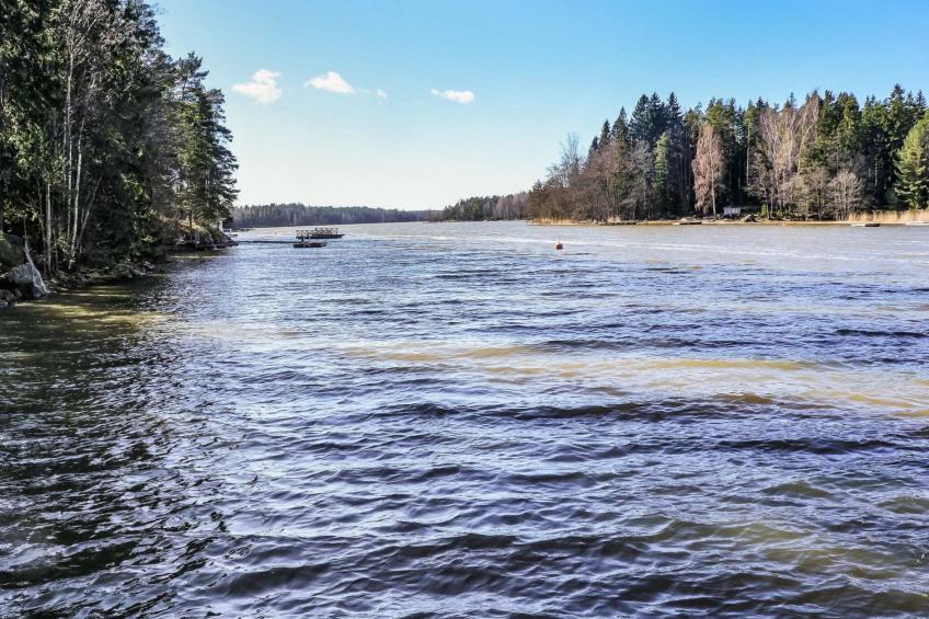 Pippuriranta - foto 29