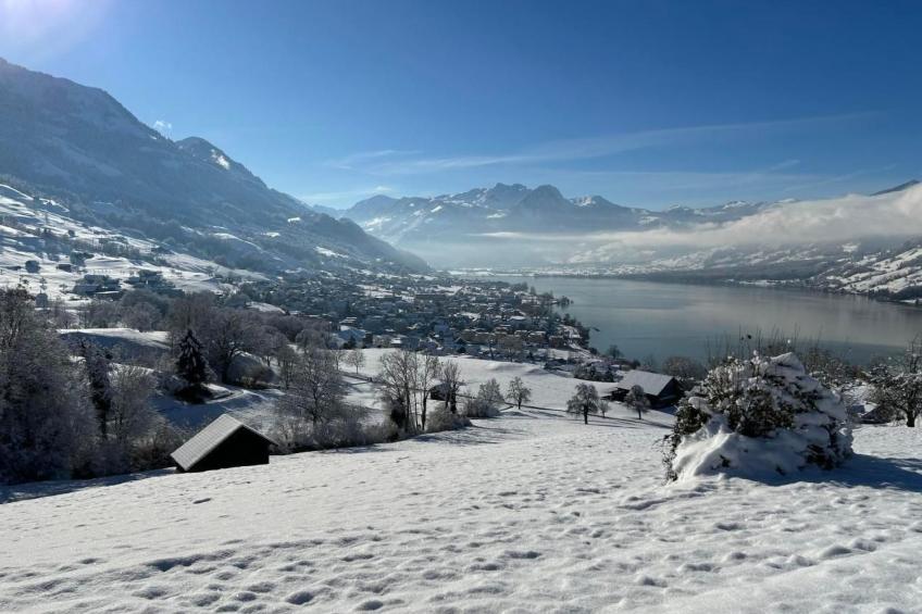 Verena's B&B - foto 52