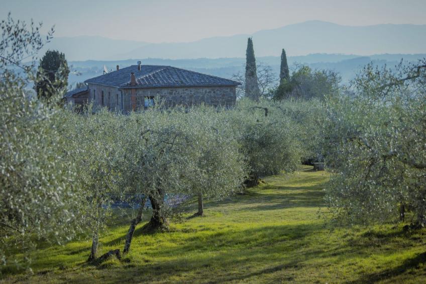 Podere Mencoini Elegante Villa mit Pool und Olivenbäumen - foto 28