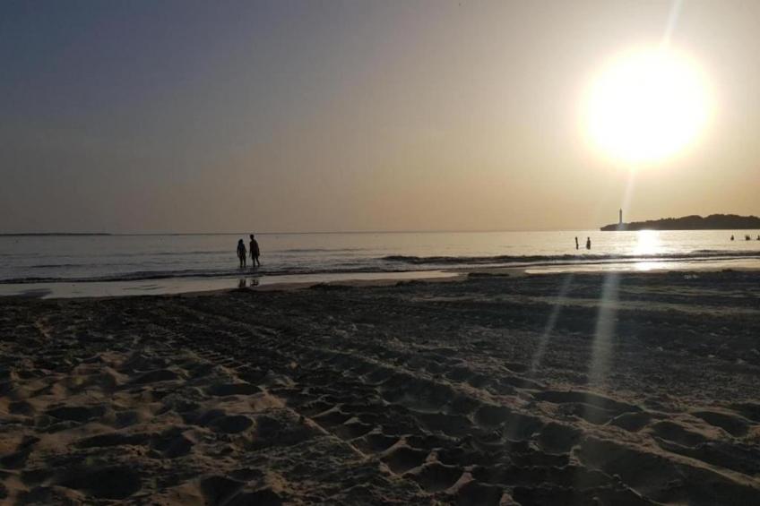 La Bergerie - foto 27