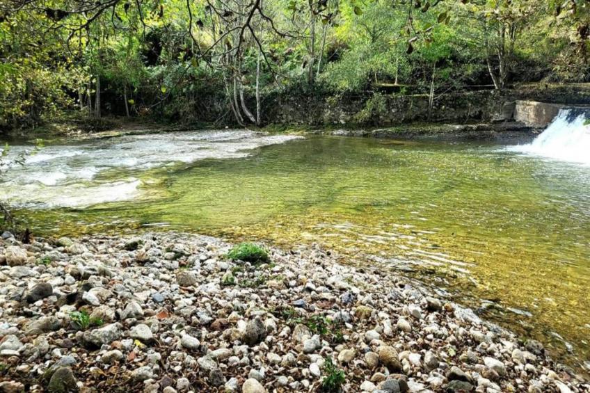 Mas du Pays des Cigales studio Les Papillons - foto 40