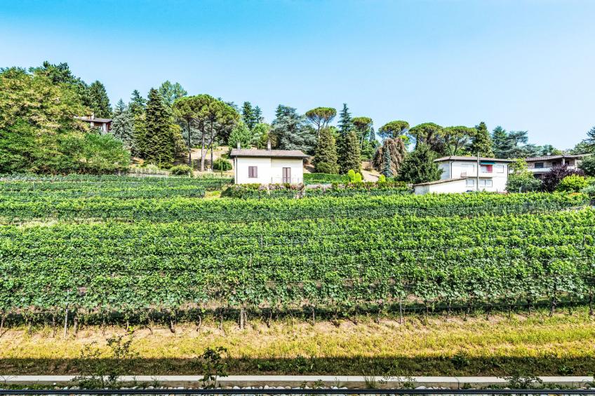 Lo Scudo di Stabio Apt.50m2 - foto 40