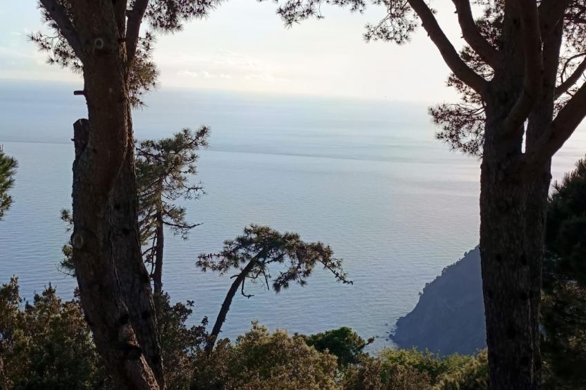 Total Relax Home by Holiday World - foto 32