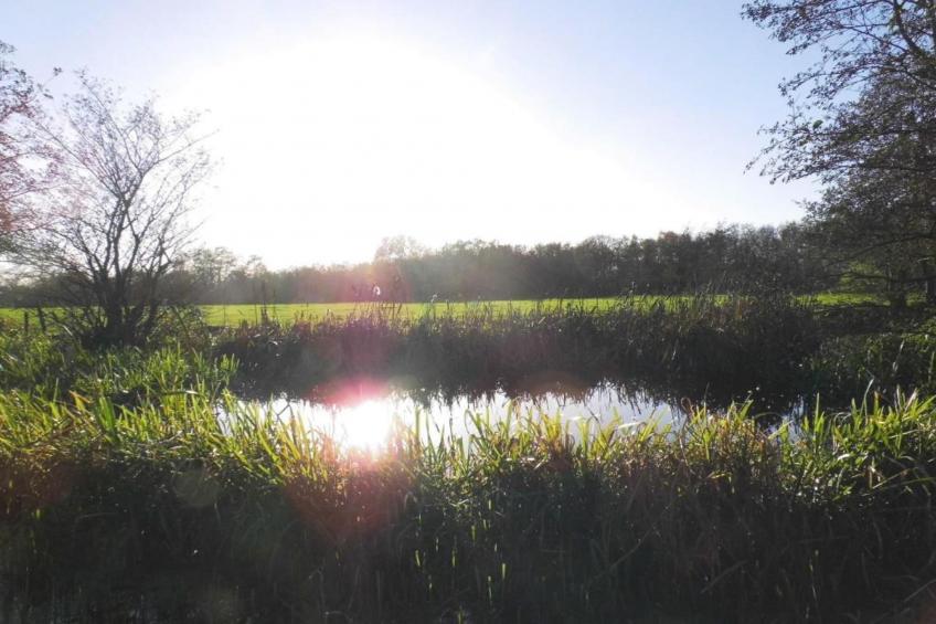 Twee safaritenten "Noflik" & "Gaadlik" naast elkaar - foto 32