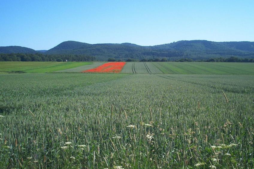 Fewo Stricker 33 - foto 44