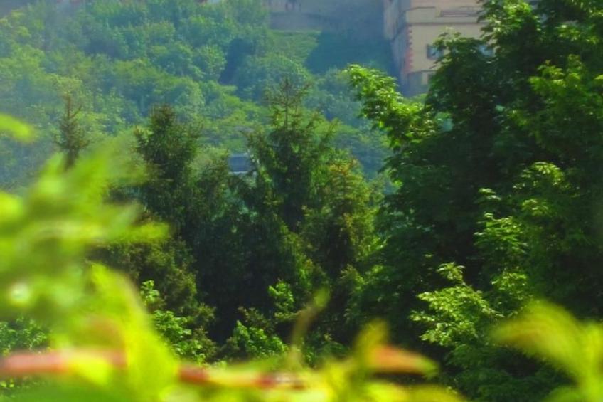 direkt an Rhein und Mosel - foto 11