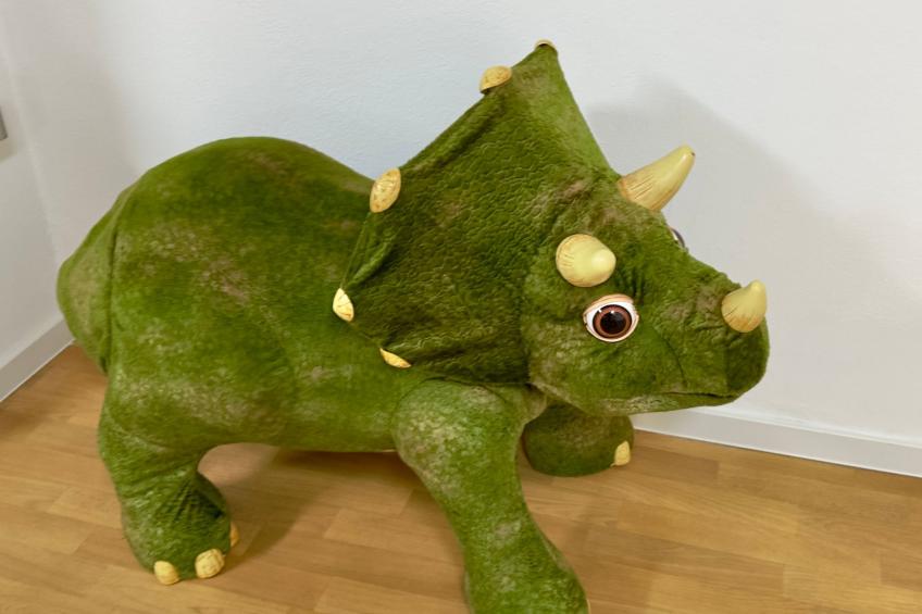 Villa Noho - foto 47