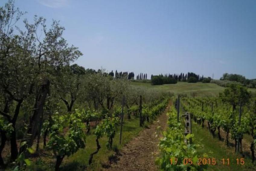 'Il Segno' mit Terrasse - foto 30