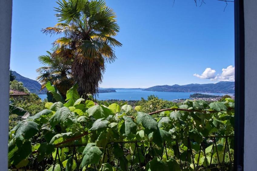 Simonetta Vignone - foto 34