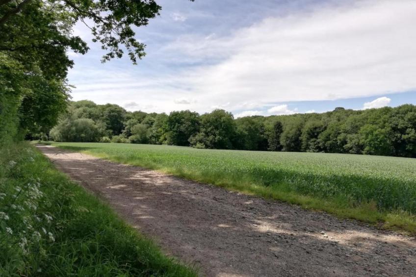 Bernardushoeve - NR13 - foto 34