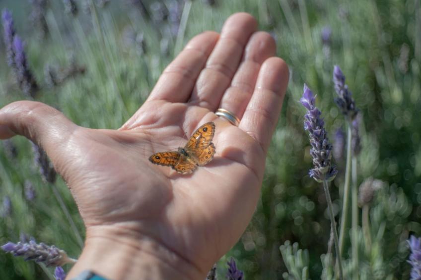 'Casa il Girasole' - foto 23