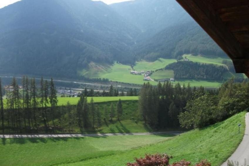 in ruhiger Lage am Waldrand - foto 8